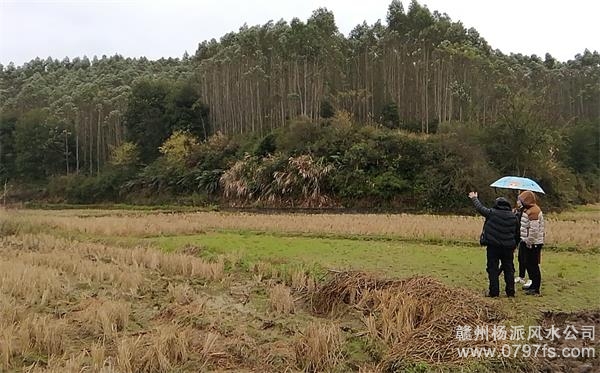 普陀区陈老师带着爱徒寻龙点穴